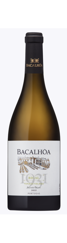 Bacalh&ocirc;a Bical 1931 Vinhas Velhas 2022