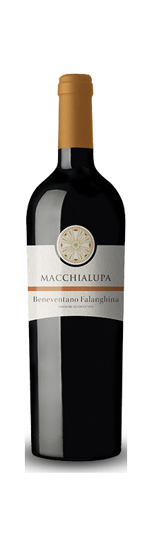 Macchialupa Falanghina 2024